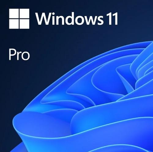 MICROSOFT Windows 11 Pro 64-bit ENG DVD OEM