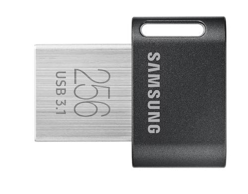 SAMSUNG FIT PLUS flash 256GB, USB3.2gen1 flash drive - AGEMcz